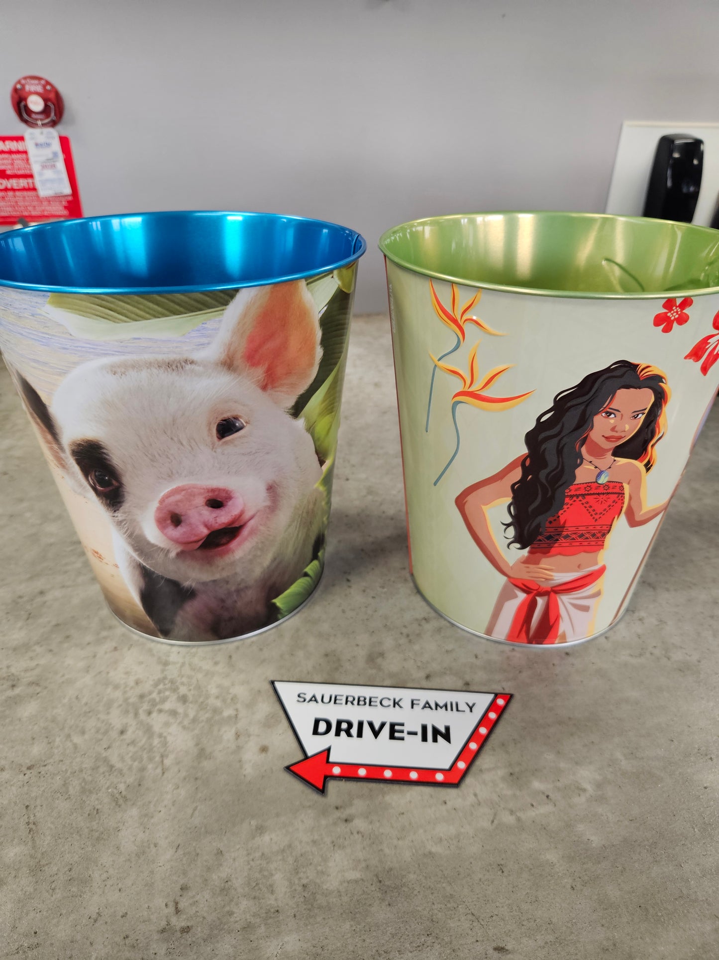 NEW! Moana (2026) Set of 2 Metal Popcorn Bucket IN HAND