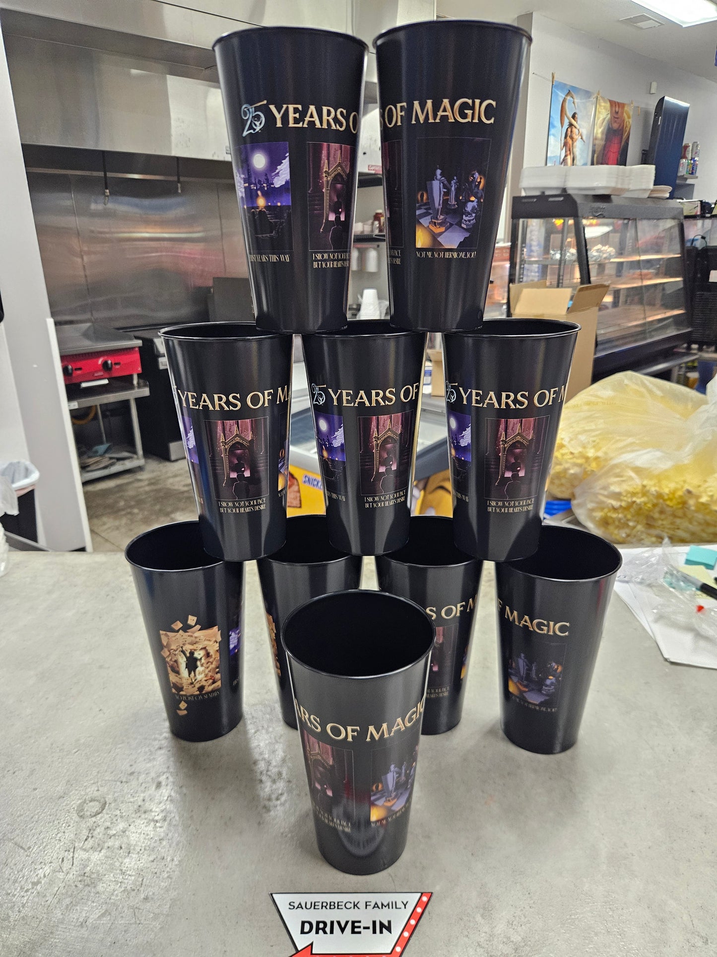 Harry Potter 25th Anniversary 44oz Plastic Cup Set of 10 (black inside w/ quotes)