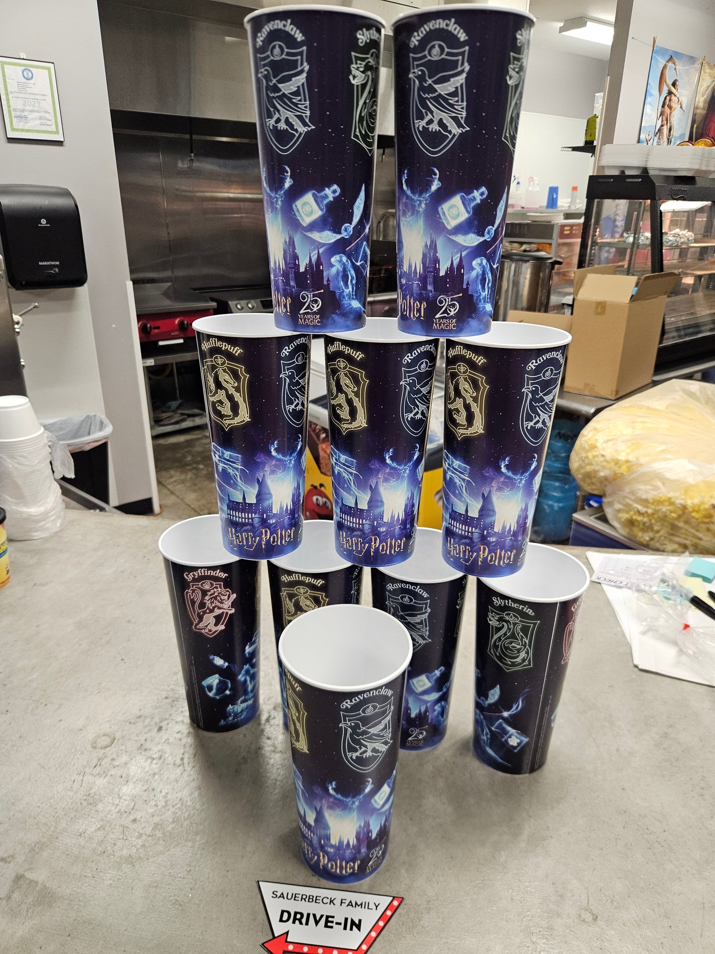 Harry Potter 25th Anniversary 44oz Plastic Cup Set of 10 (white inside)