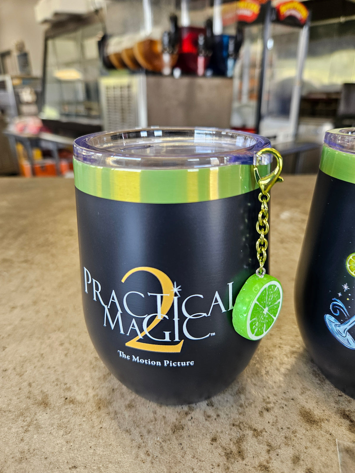 Practical Magic 2 - Wine Tumblers Stainless Steel Set of 2  IN HAND 2026