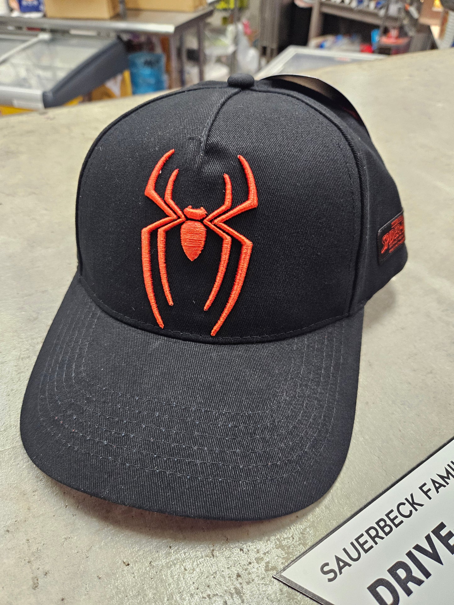 Spider-Man Brand New Day Cap Hat Baseball Hat IN HAND 2026