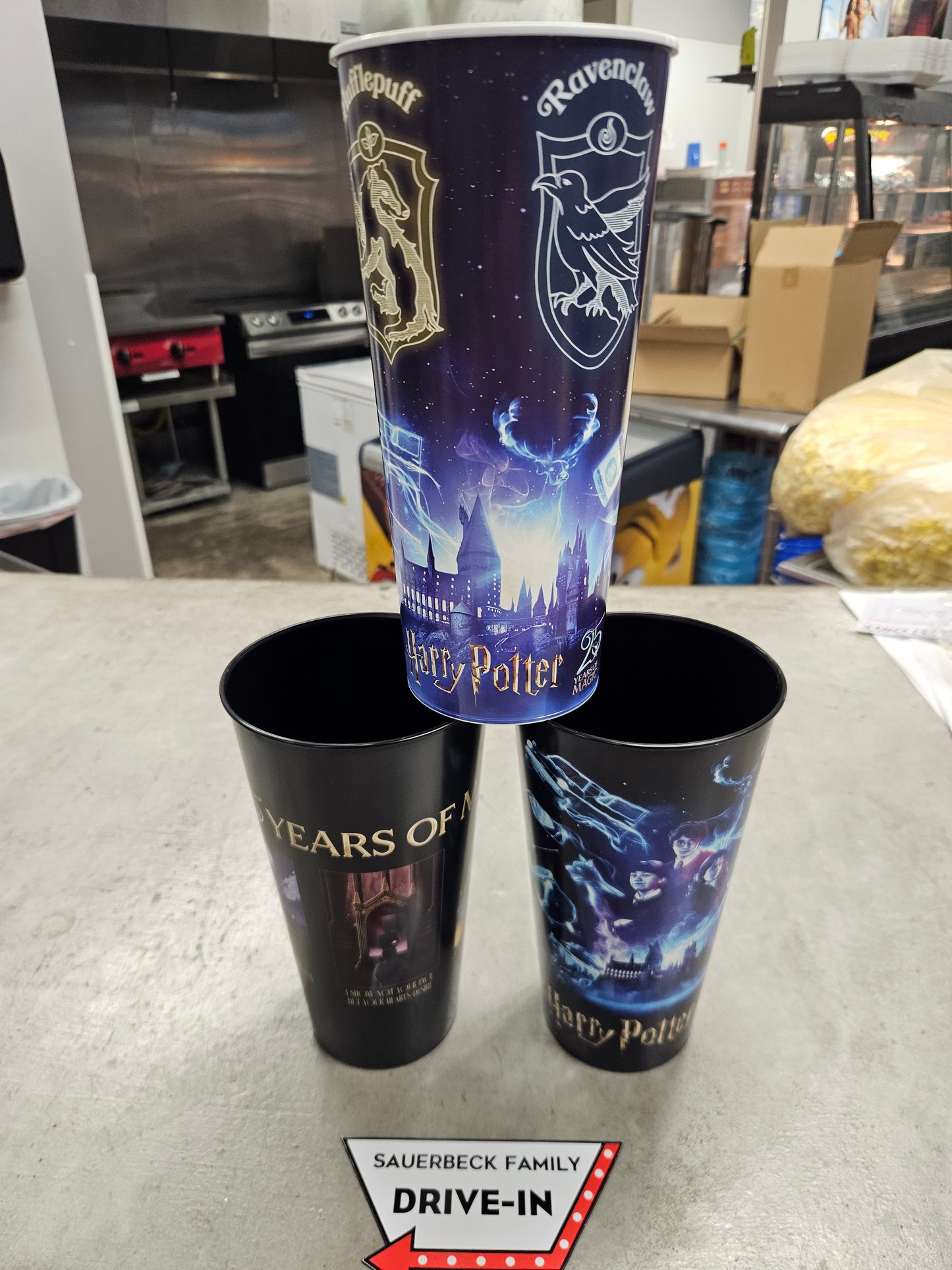 Harry Potter 25th Anniversary 44oz Plastic Cup Set of 3